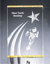 Acrylic Shooting Star Award (Large)